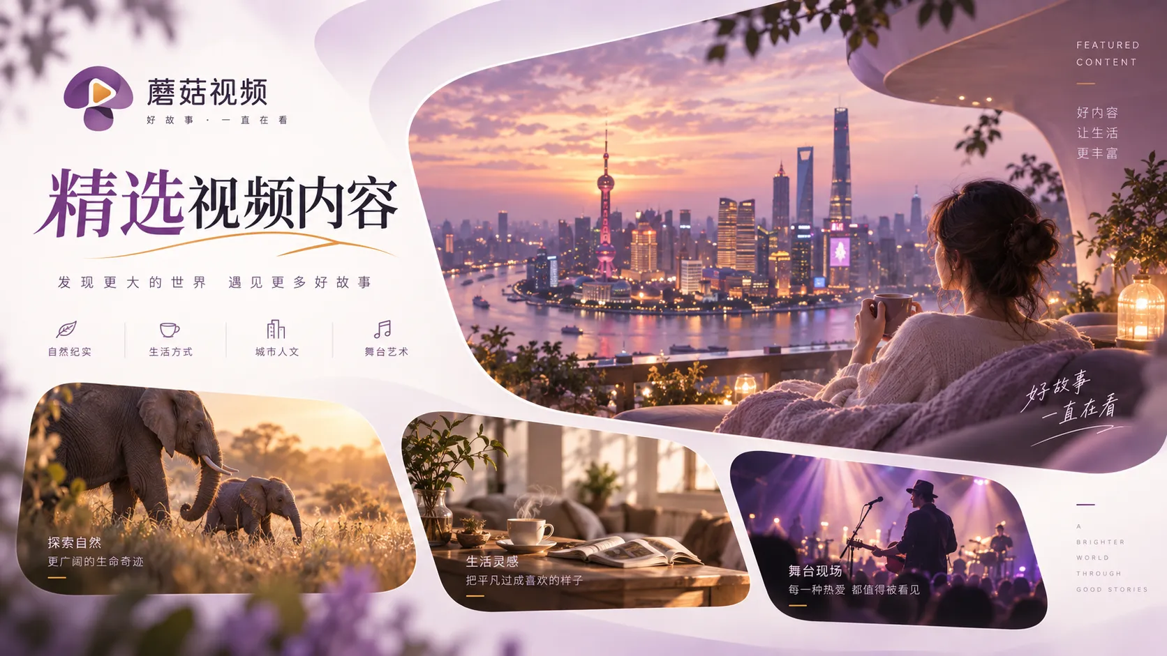 蘑菇视频剧情与人物片单整理